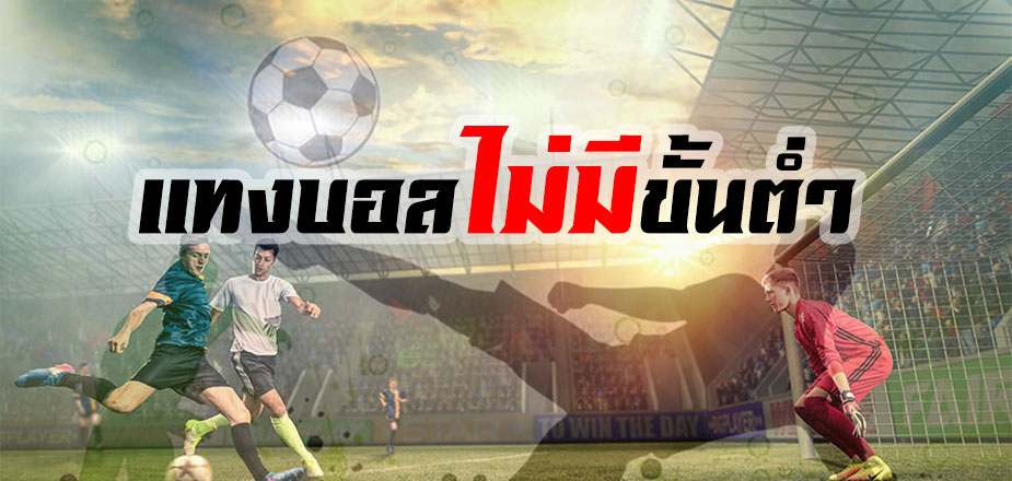 เว็บแทงบอล